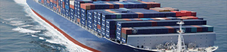 cjzgiwnqourq_viethung_container_haiphong